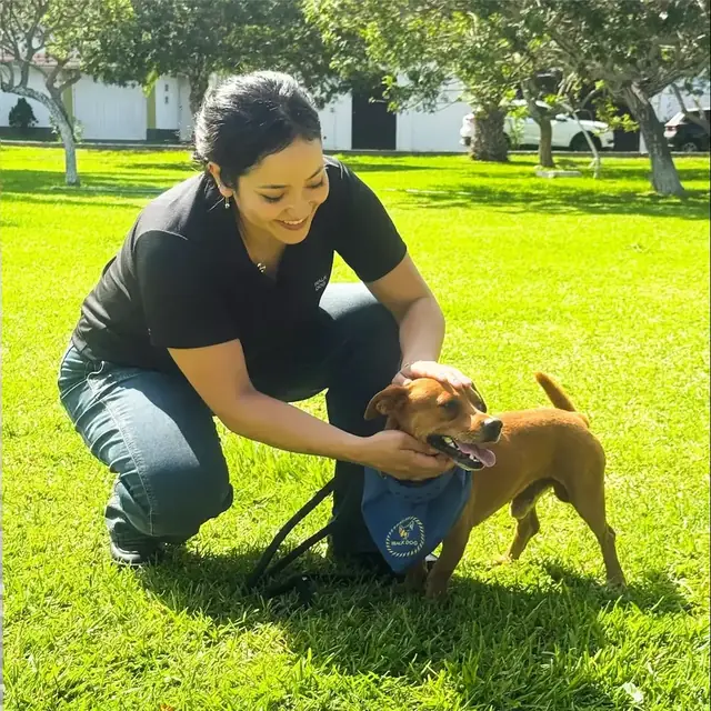 Paseo tranquilo con el perro bajo control